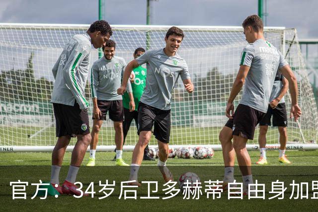 官方：34岁后卫多赫蒂自由身加盟谢菲联，签下1+1形式合同
